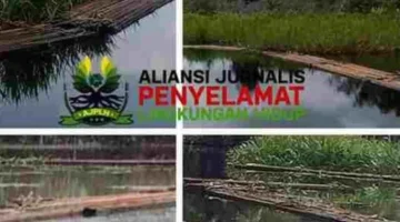 Alarm Merah Suaka Margasatwa Kerumutan: Digerogoti 100 Kubik per Hari, di Mana Pengawasan APH dan Kontrol DPRD?
