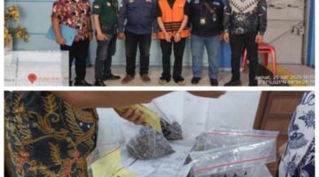 Gakkum KLHK Wilayah Sumatera Serahkan Tersangka dan Barang Bukti Perdagangan Sisik Trenggiling ke Kejaksaan Pematangsiantar